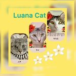 luanacat524